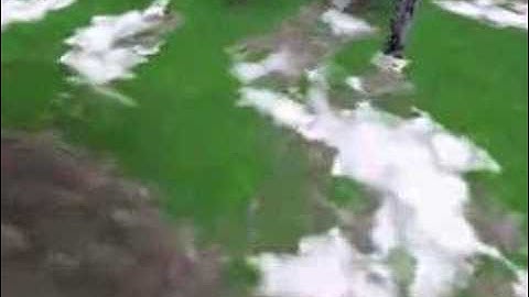 Zoo tycoon: Mystery of the alpine forest part 2