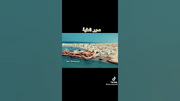 شلوني صور 