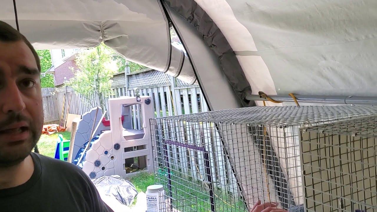 Heat emergency 🔥 for the Rabbits and problems we solved with the