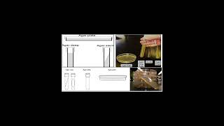 Differences Between Agar Plate, Agar Deep, Agar Slant and Broth Media     #geneticteacher