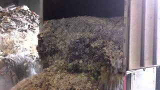 Shredded paper being dropped at local Recycler