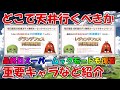 結局どこで天井行くべきか？の参考に！優先キャラ・武器を軽く紹介しながらガチャピン期間最終日までの流れを復習します【グラブル】