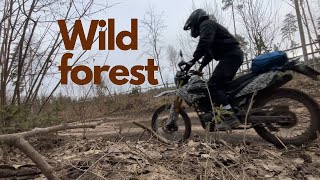 видео: ДИКИЙ ЛЕС НА МОТОЦИКЛЕ картинка: ДИКИЙ ЛЕС НА МОТОЦИКЛЕ