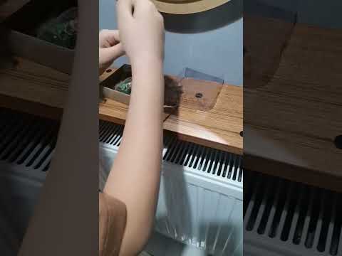 bugün büyük gün