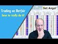 Betfair trading - Peter Webb - How you should really be trading on betfair!