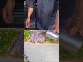 Onion Sandwich #satisfying #statusvideo #toys #popular #musica #hindisong #hindi #remix #reel #view