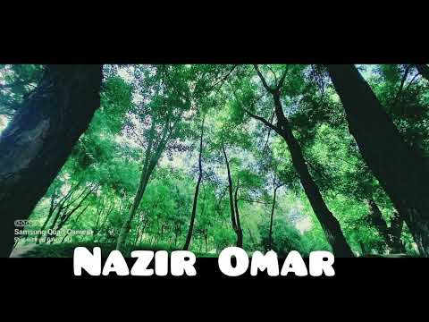 آهنگ بسیار زیبا صبا کابل جان میرم