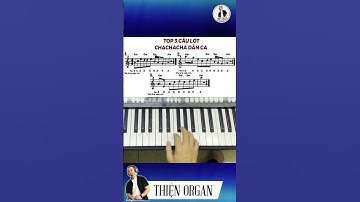 TOP 3 CÂU LÓT CHACHA DÂN CA - Short || THIỆN ORGAN