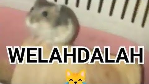 Tugas iklan nipis madu yg paling keren 😎