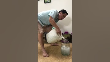 Cách Ngâm Rượu Đông Trùng Hạ Thảo Tây Tạng