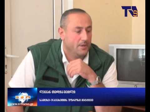 ბაკურიანის ტყეში სანიტარული ჭრები მიმდინარეობს