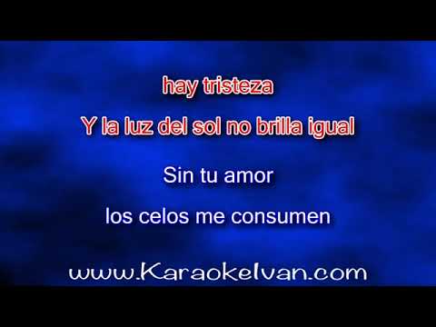 Jose Luis Rodriguez Celoso KARAOKE