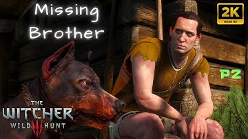 THE WITCHER 3: Wild Hunt - Missing in Action. Part 2. Side Quest [2K 60FPS PC]