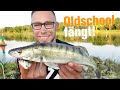 Zander Feedern | Klassisch Angeln mit dem Köderfisch