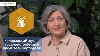 Жукоед от колорадского жука. Инструкция и особенности применения