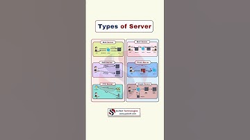 Web, DNS, FTP, Proxy Server – Networking Basics for CCNA
