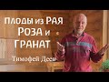 Плоды из Рая. Роза и Гранат в свете духовно-научных изысканий. Тимофей Деев