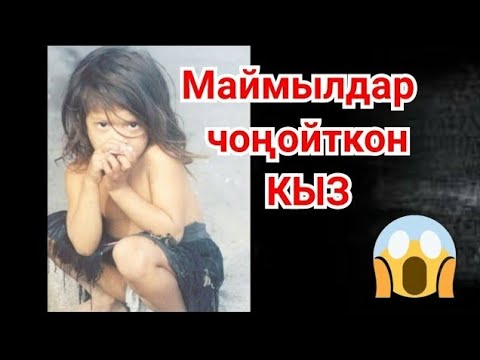 Video: Пушистый мышыкты кантип кыркууга болот?