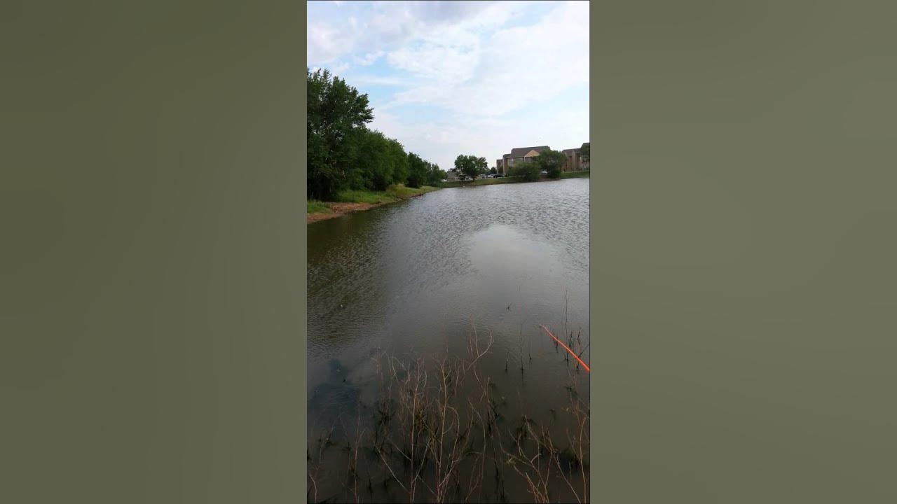Bow fishing in Lubbock texas YouTube