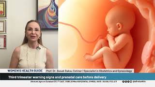 Women's Health Guide | The Third Trimester of Pregnancy (28–40 Weeks)