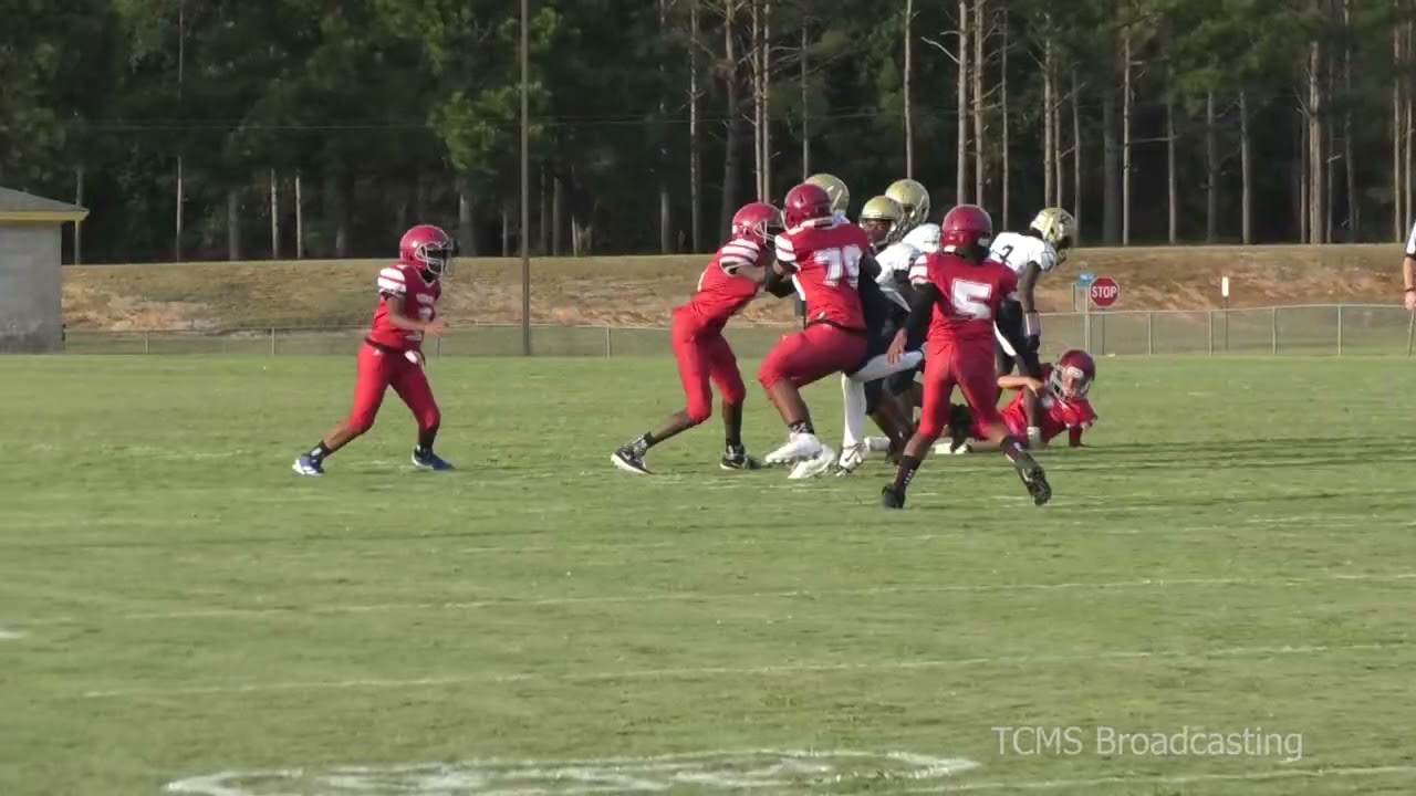 TCMS vs Lowndes