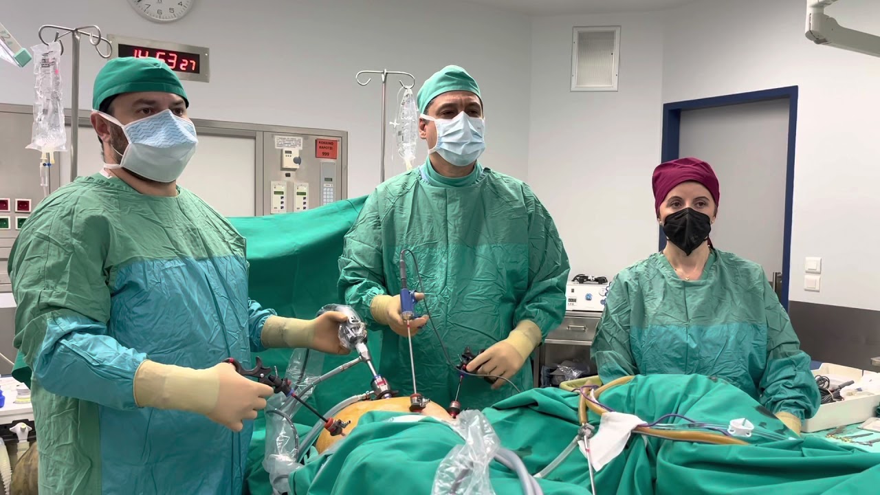 Laparoscopic SLN mapping using ICG/NIR technology IMAGE1 S Rubina C. Storz.