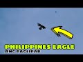 SARANGGOLA SEASON NABA?ANG PAGLIPAD NG AKING EAGLE KITE,@yankitetv @kalitarvlog5622