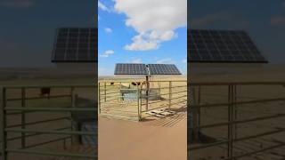 Solar Pump Inverter SPI 11000/22000 IP65 Growatt Suoer