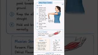 exercise therapy #streching #Notes# explain simple ##easy memorize #l