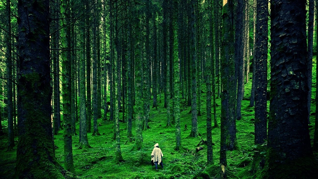 Beautiful Relaxing Music for Stress Relief Calming Music Meditation, Relaxation, Sleep.