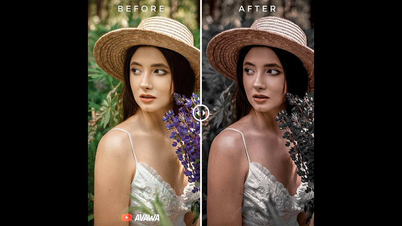 Lr Malayalam premium preset 