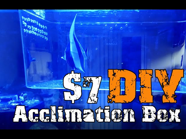 acclimation box fish tank Reefing Art Magnetic Breeder Nursery isolation : Pet Supplies and invertebrates to any aquarium Magnetic Fish & Coral Acclimation