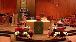 28th Sunday in Ordinary Time