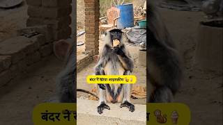 धोखेबाज़ बंदर🐒#funny #comedy #nirajjokes @thethar_puns @AaluPyaj #jokes #ytshorts #realfools #shorts