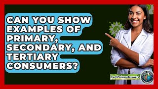 Can You Show Examples Of Primary, Secondary, And Tertiary Consumers? - Earth Science Answers
