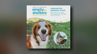 Adopt, don't shop at upcoming CPAS 'Empty the Shelters' event