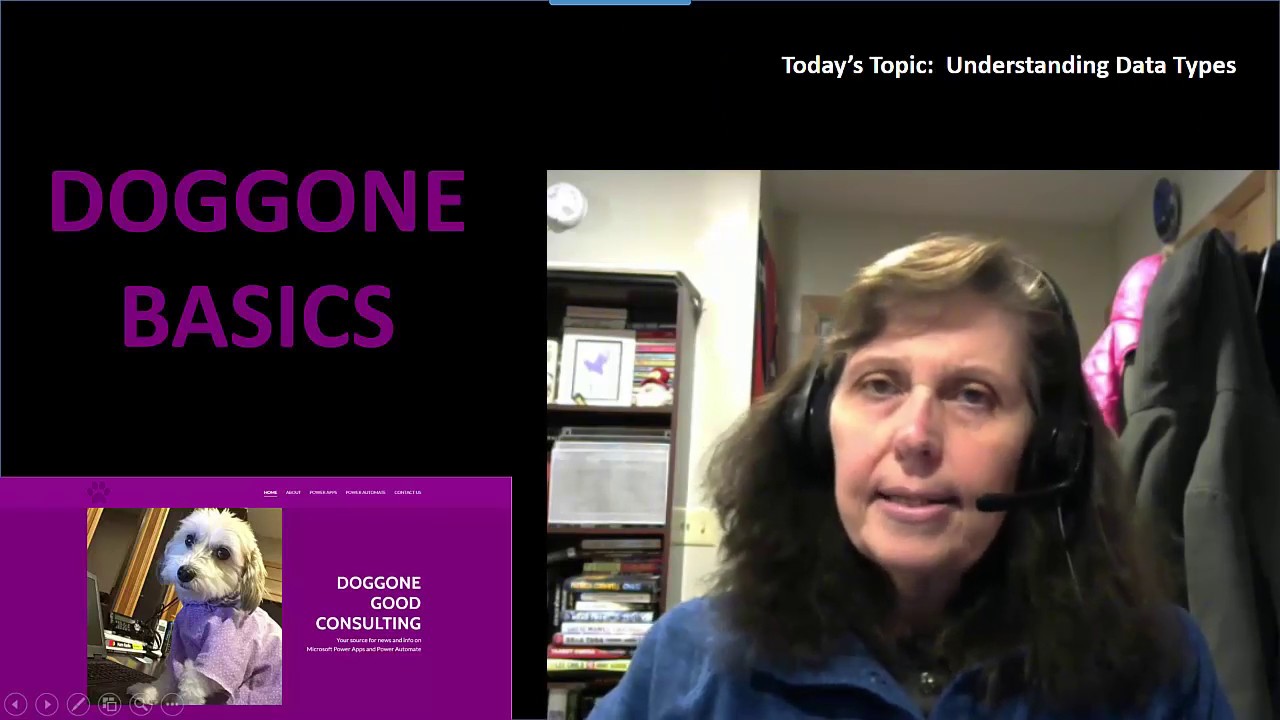 Doggone Basics Understanding Data Types YouTube