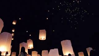 Acıdan Bir Dünya Kurdum Söz Ve Müzik _Sahipsiz Şarkılar