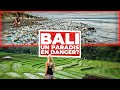 Bali  un paradis en danger 