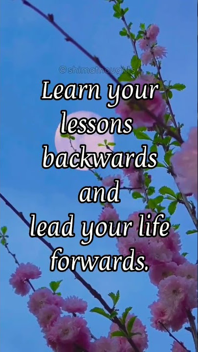 Real Life Lessons 03 #shorts #lessons