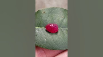 Đẳng cấp ruby Yên Bái màu chất đỉnh cao