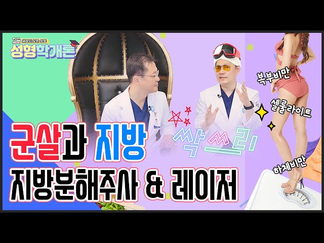 올 여름 지방과 군살 모두 싹쓰리! 다이어트 끝판왕 지방분해주사와 지방분해레이저 │성형학개론2 23편