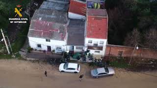 Desmantelan dos laboratorios de marihuana en Cebreros (Ávila)