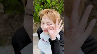 🦊👌 #StrayKids #스트레이키즈 #아이엔 #I_N #YouMakeStrayKidsStay