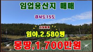 물번.776번) 소형임야. 2.580평 차량진입,낮은 야산 매매가,1.700만원  입니다,경사도15도~ 농림지역,임업용산지,가축사육제한구역, 임산물재배,산약초재배,딱 좋은 소형임야