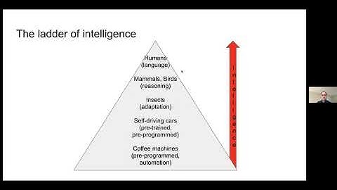 Patrick Hammer - Intelligence through reasoning