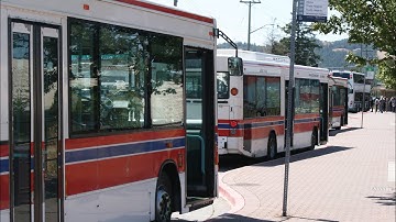BC Transit Dennis Darts In Victoria BC