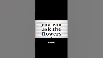 🔥 #coding #programming #memes #meme #shorts #ytshorts #youtube #trending #viral #python #java #js