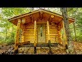 Log Cabin Build in a Rain Storm with My Dog | Off Grid Sauna