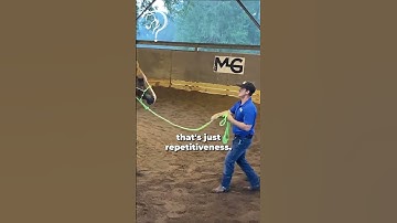 Quick Tips On Gaining Your Horse